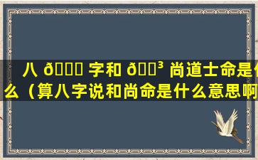 八 🐅 字和 🐳 尚道士命是什么（算八字说和尚命是什么意思啊）